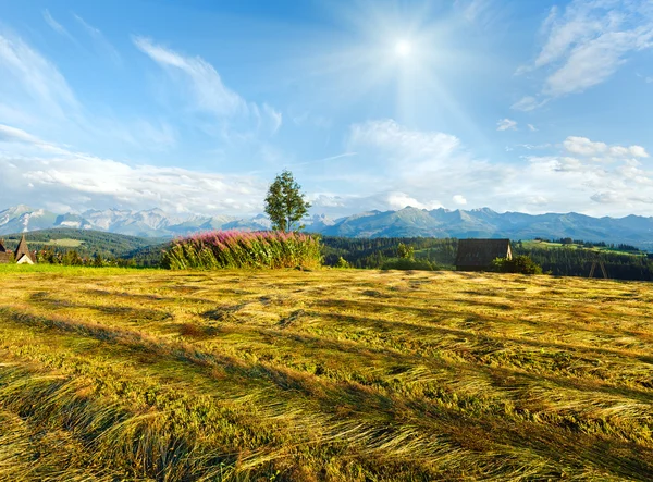 Summer mountain evening country view with mown field — Stock Photo, Image