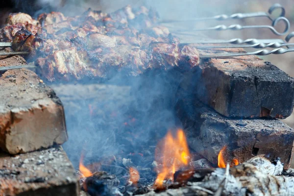 Meat on skewers over campfire. — Stock Photo, Image