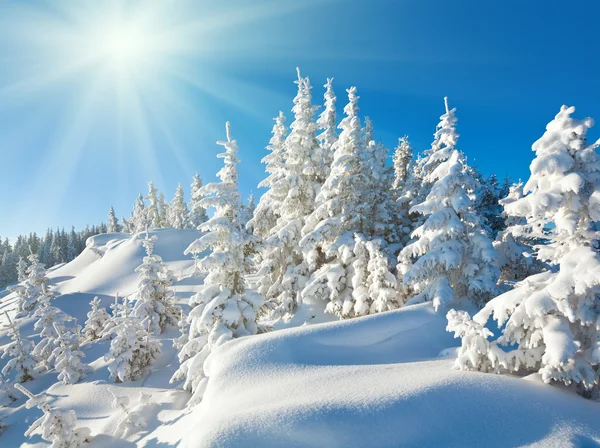 Zon onder het berglandschap van de winter — Stockfoto