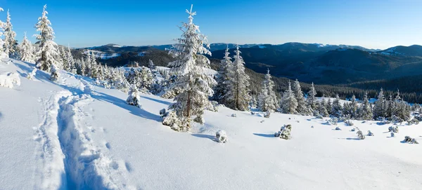 Ochtend winter berglandschap (Karpaten, Oekraïne) — Stockfoto