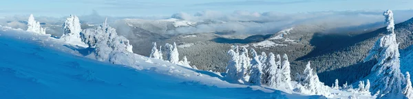 Winter bergpanorama met besneeuwde bomen — Stockfoto