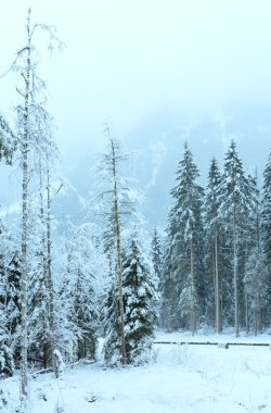 Kış dağ manzarası (Avusturya, tirol).