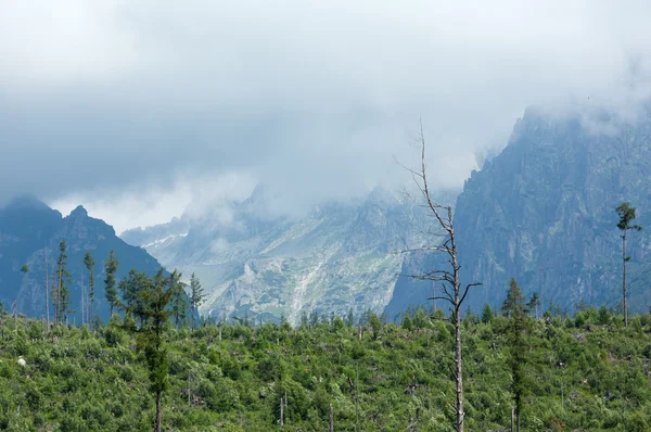 High Tatras (Slovacia) vedere de vară . — Fotografie, imagine de stoc