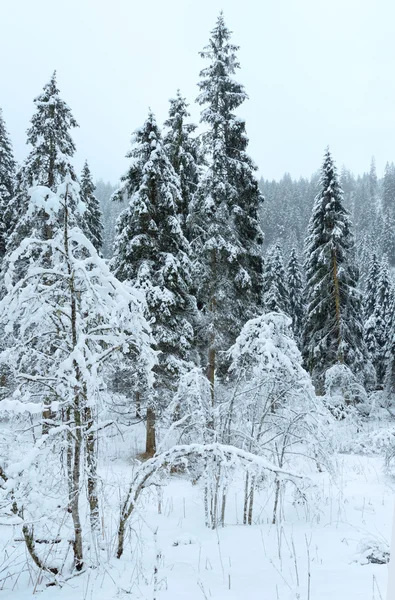 Paysage hivernal de montagne (Autriche, Tyrol ). — Photo