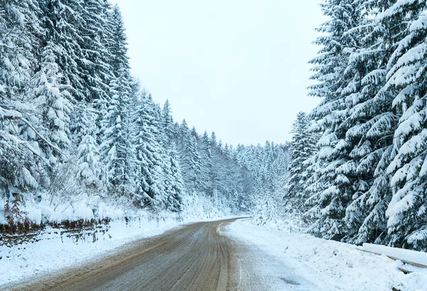 Kış ülke road Göknar ormanı (bulutlu gün ile). — Stok fotoğraf