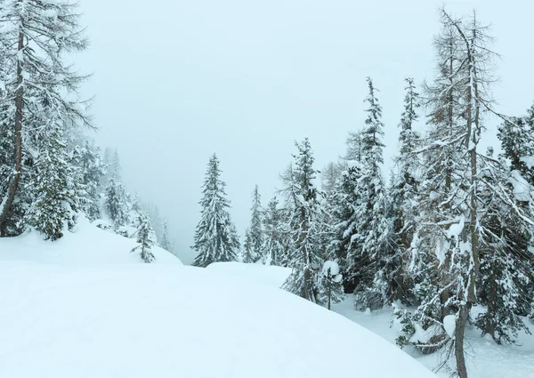 冬の山霧の風景 — ストック写真