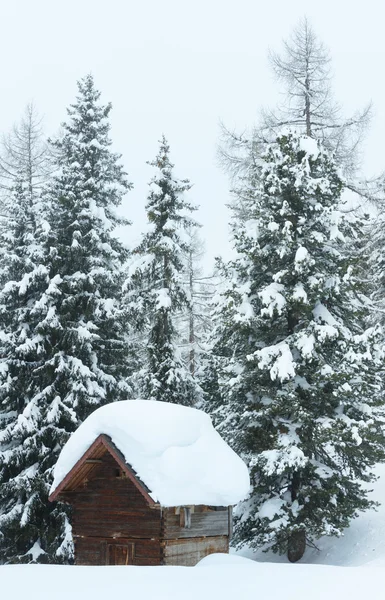 Зимовий туманний гірський та лісовий сараї — стокове фото