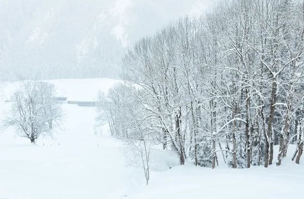 Inverno montanha neblina paisagem — Fotografia de Stock