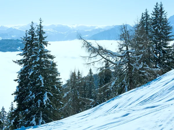 Bewölkte winterliche Berglandschaft — Stockfoto