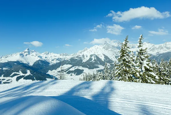 Inverno montagna abete foresta paesaggio — Foto Stock