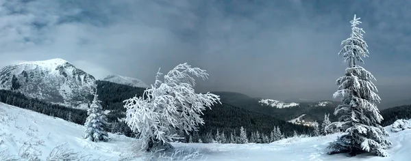 Noche invierno montaña paisaje en luna llena luz de la luna —  Fotos de Stock