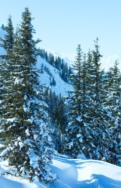 Kış Dağı Manzarası