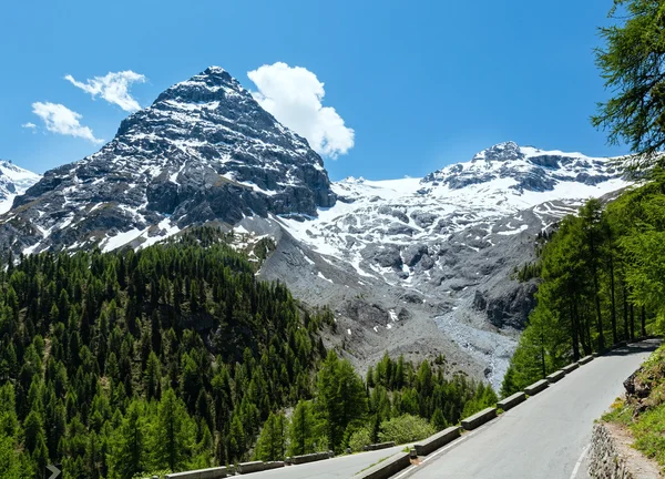 Sommaren Stelvio pass (Italien) — Stockfoto