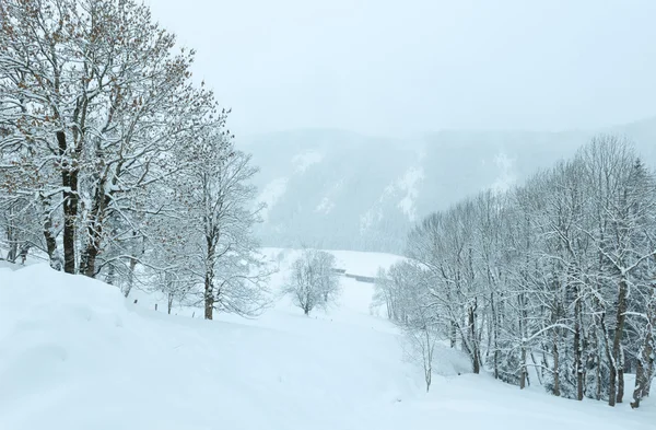 Hiver montagne paysage brumeux — Photo