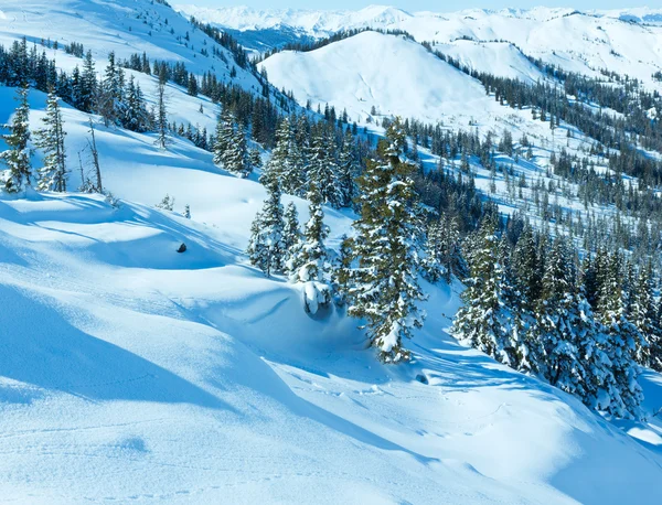 Paesaggio montano invernale — Foto Stock