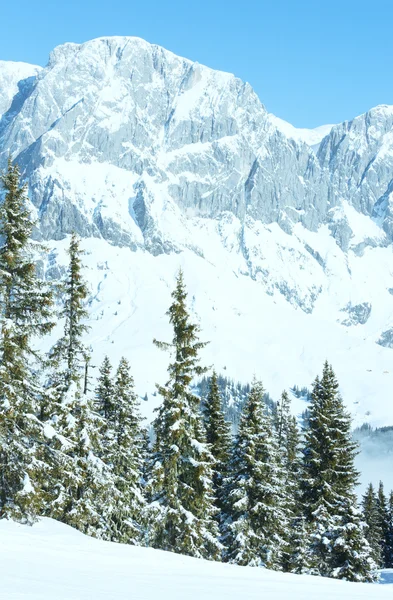 Bulutlu kış dağ manzarası — Stok fotoğraf