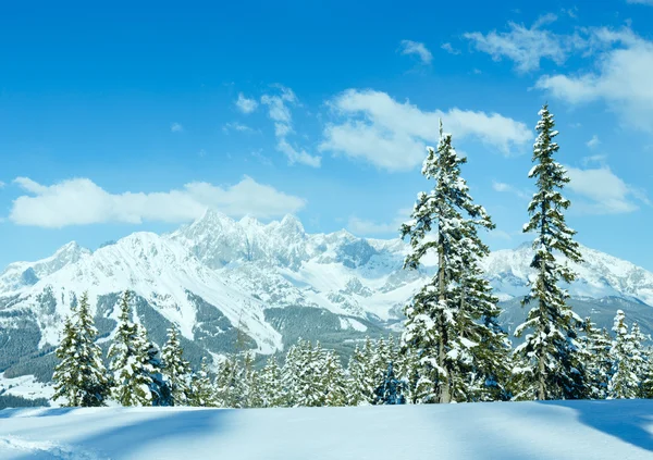 Inverno montanha abeto floresta paisagem — Fotografia de Stock