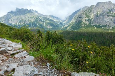 yüksek tatras (Slovakya) yaz görünümü.