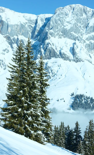 Nuageux hiver paysage de montagne — Photo