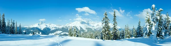 Vintern bergspanorama med snötäckta träd (filzmoos, Österrike) — Stockfoto