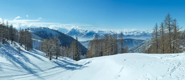 Bois d'hiver près du massif montagneux de Dachstein — Photo