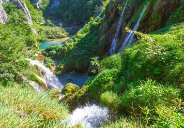 Şelaleler ve çimen Plitvice Gölleri Milli Parkı'nda (Hırvatistan)