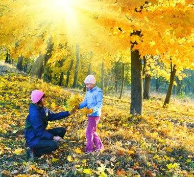 sonbahar gün ışığı akçaağaç Park aile