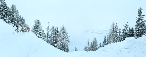 Mglisty panoramę gór zima. — Zdjęcie stockowe