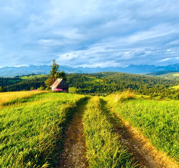 Summer mountain country view — Stock Photo, Image