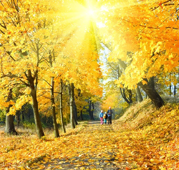 在秋天的阳光枫公园的家庭 — 图库照片