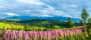 Yaz dağ ülke panorama (gliczarow gorny, Polonya)