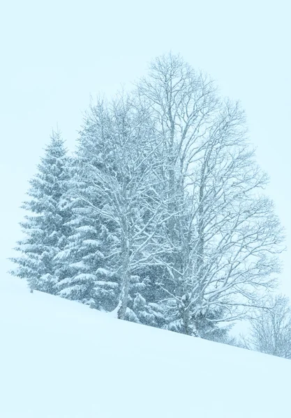 山霧の降雪の冬の景色 — ストック写真