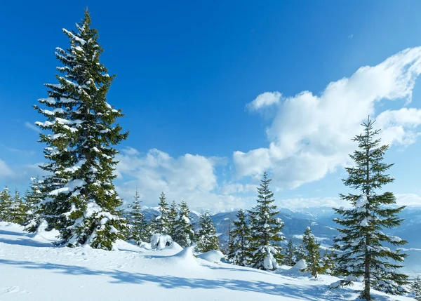 Winter berg fir boslandschap — Stockfoto