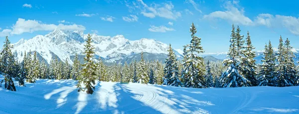 Invierno montaña abeto bosque paisaje (Austria )) — Foto de Stock