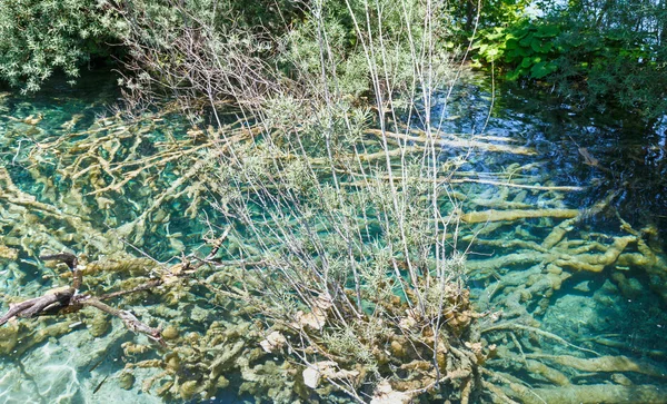 Été lac transparent limpide azur (Plitvice, Croatie ) — Photo