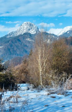 Kış dağ ülkenin peyzaj (Avusturya).