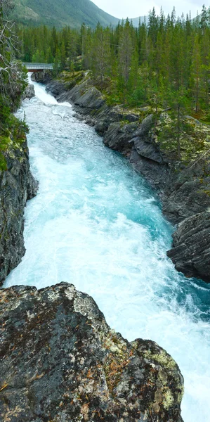 Nyáron hegyi folyó (norge) — Stock Fotó