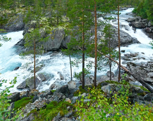 Nyáron hegyi folyó (norge) — Stock Fotó