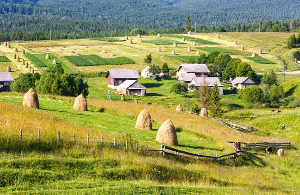 Estate vista rurale di montagna con pagliai (Carpazi, Ucraina ) — Foto Stock