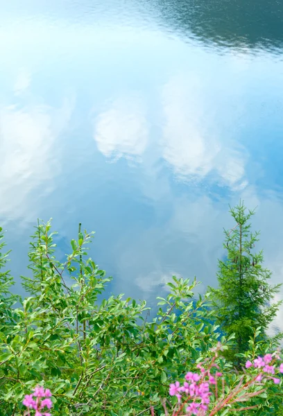 Отражения в воде — стоковое фото