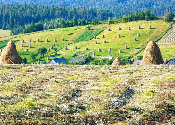 Sommer Berg ländlichen Blick mit Heuhaufen (Karpaten, Ukraine) — Stockfoto