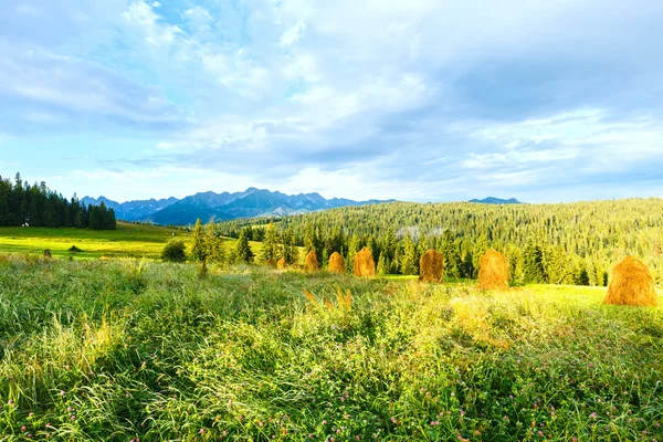 Estate vista montagna paese — Foto Stock