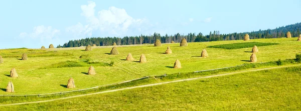 Verão montanha panorama rural com palheiros (Cárpatos, ucranianos — Fotografia de Stock