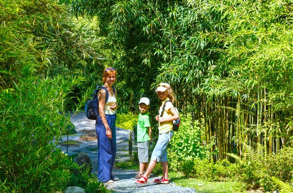 Family in grove of bamboo tree — Stock Photo, Image