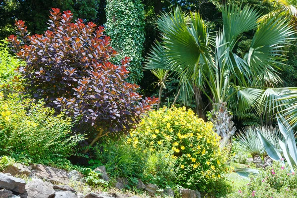 Hermoso parque de verano — Foto de Stock