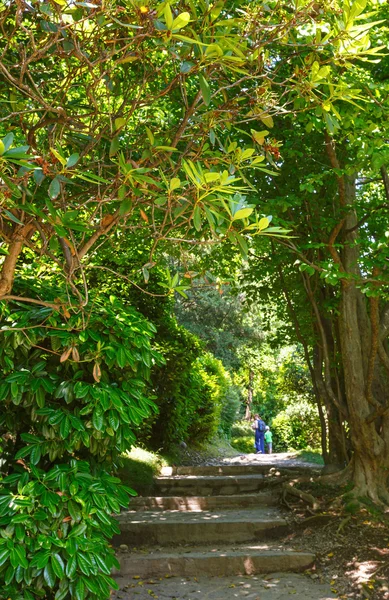 Famiglia nel parco estivo — Foto Stock