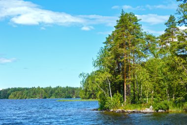 Lake ruotsalainen yaz görünümü (Finlandiya).