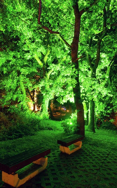 Beleuchtet in grünen Bäumen im Nachtpark — Stockfoto