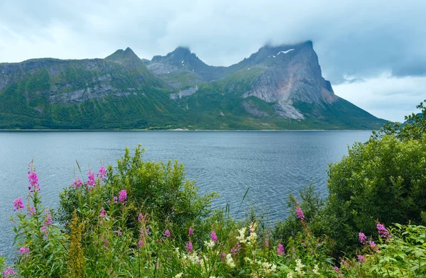 Fjord zomer bewolkt weergave (Noorwegen) — Stockfoto