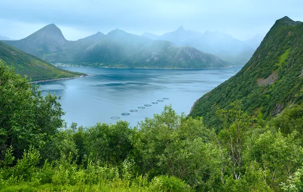 Sommaren senja kusten (Norge) — Stockfoto